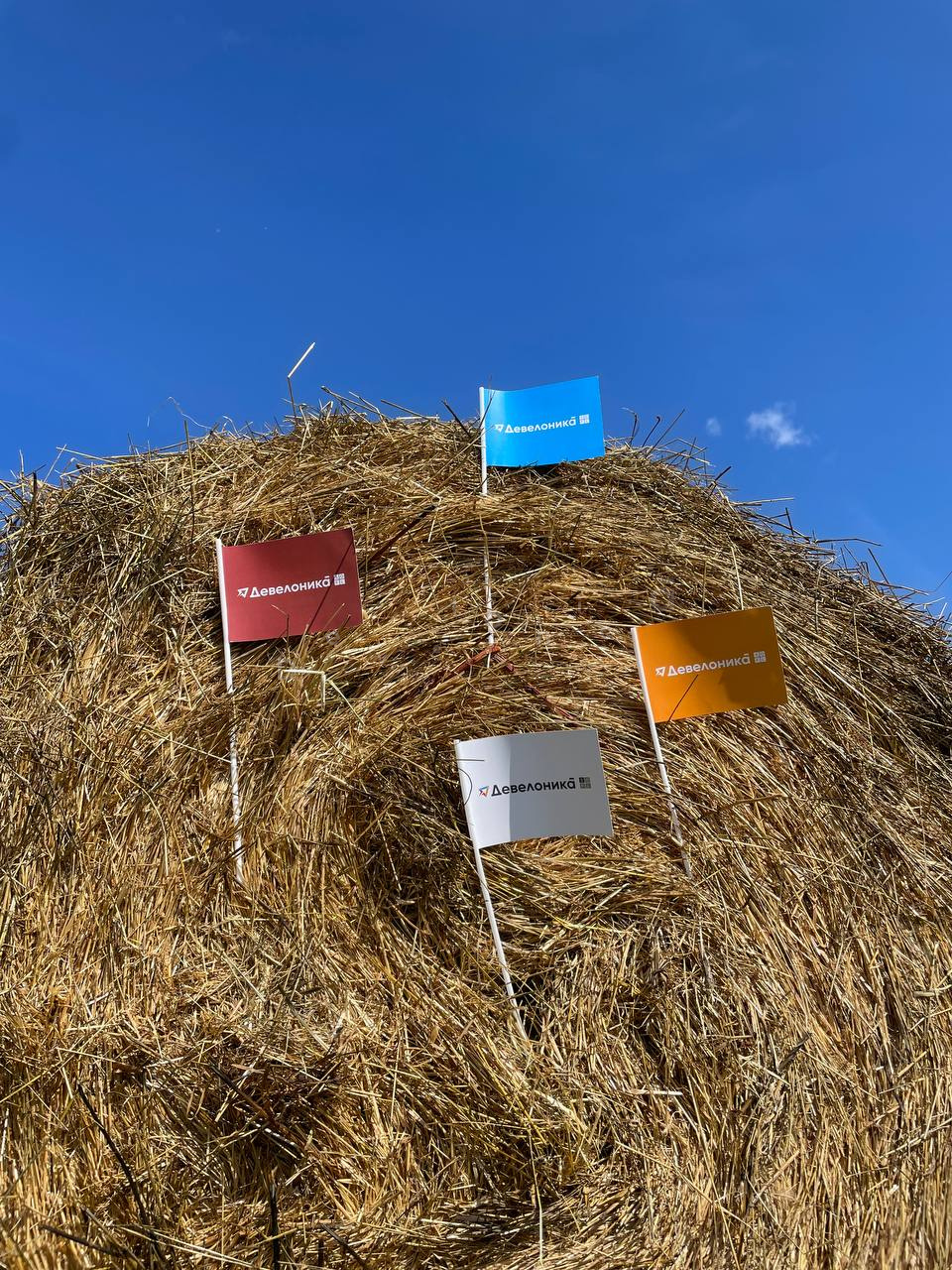 2025_konezavod_medvedki_2